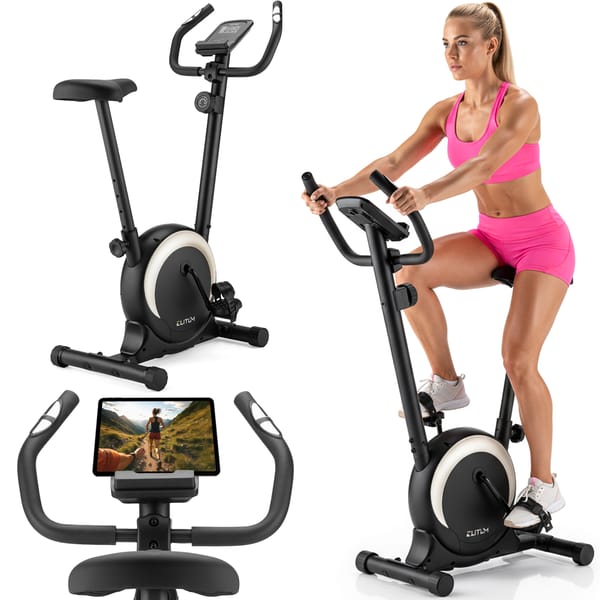 Rower magnetyczny Velox Elitum